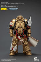 Blood Angels Captain with Heavy Bolt Pistol & Power Sword 20