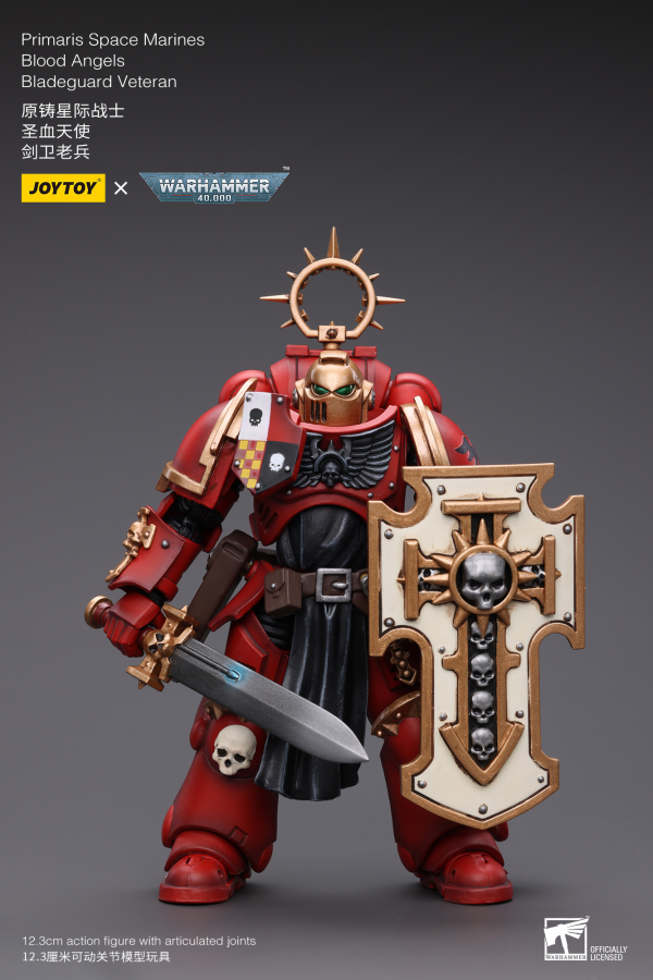 Primaris Space Marines Blood Angels Bladeguard Veteran