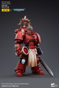 Blood Angels Veteran Salus 2
