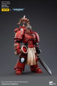 JOYTOY Blood Angels Veteran Salus - Warhammer 40K - photo 2
