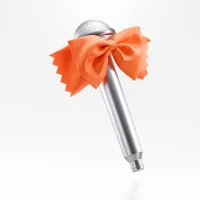 TAMASHII NATIONS Ranka Lee's Microphone Macross Frontier, Bandai Spirits PROPLICA - Macross - photo 5