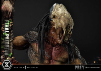Museum Masterline Prey Feral Predator 24