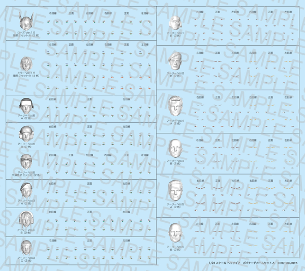 GOVERNOR DECAL SET TYPE-A