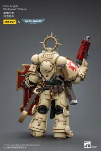 JOYTOY Dark Angels Bladeguard Veteran - Warhammer 40K - photo 5