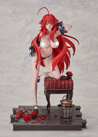 High School DxD Rias Gremory: Light Novel 15th Anniversary ver. (Renewal Package Edition) 14