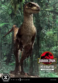 Prime 1 Studio Prime Collectible Figures  Jurassic Park (Film)  Velociraptor  Closed Mouth - Jurassic Park - photo 3