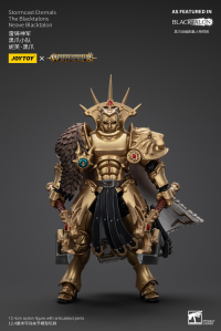 Stormcast Eternals The Blacktalons Neave Blacktalon 1