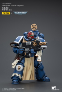 Ultramarines Sternguard Veteran Sergeant 4