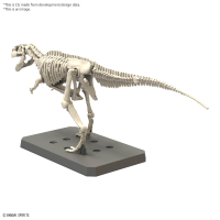 PLANNOSAURUS Giganotosaurus 5