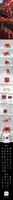 52TOYS BB-33 BLAZINGSPEAR - BEASTBOX - photo 2