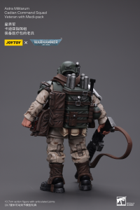 Astra Militarum Cadian Command Squad Veteran with Medi-pack 5