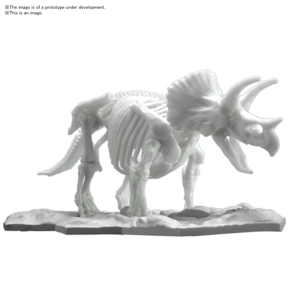 DINOSAUR MODEL KIT LIMEX SKELETON Triceratops