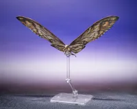 TAMASHII NATIONS SUKO & MOTHRA (2024) FROM GODZILLA x KONG: THE NEW EMPIRE	GODZILLA x KONG: The New Empire ""GODZILLA x KONG: The New Empire"", TAMASHII NATIONS S.H.MonsterArts - Godzilla - photo 9