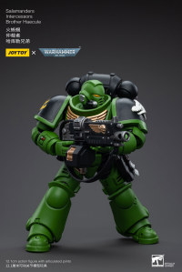 Salamanders Intercessors Brother Haecule 4