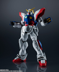 GF-13-017 NJ Shining Gundam 6