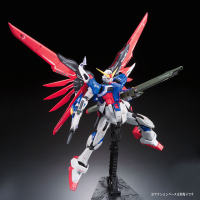RG 1/144 #11 Destiny Gundam 15