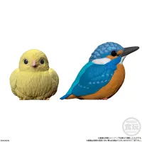 BANDAI Tenori Friends 4 Birds  (Box/12), Bandai Shokugan Tenori Friends - Tenori Friends - photo 8