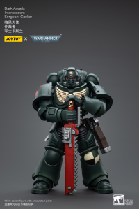 Dark Angels Intercessors Sergeant Caslan 5