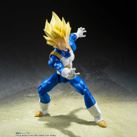 Super Saiyan Vegeta -Awakened Super Saiyan Blood- 3
