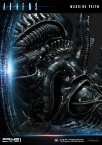 Prime 1 Studio Premium Masterline Aliens (Comics) Warrior Alien DX Bonus Version - Alien (Movie Franchise) - photo 7