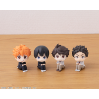 Lookup Haikyu！！ Hajime Iwaizumi 11