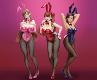 Sae Hinata Bunny Ver. 11