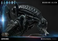 Prime 1 Studio Premium Masterline Aliens (Comics) Warrior Alien DX Bonus Version - Alien (Movie Franchise) - photo 105