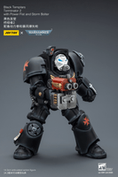 BlackTemplars Terminator 2 with Power Fist and Storm Bolter 18