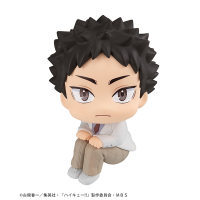 Lookup Haikyu！！ Hajime Iwaizumi 1