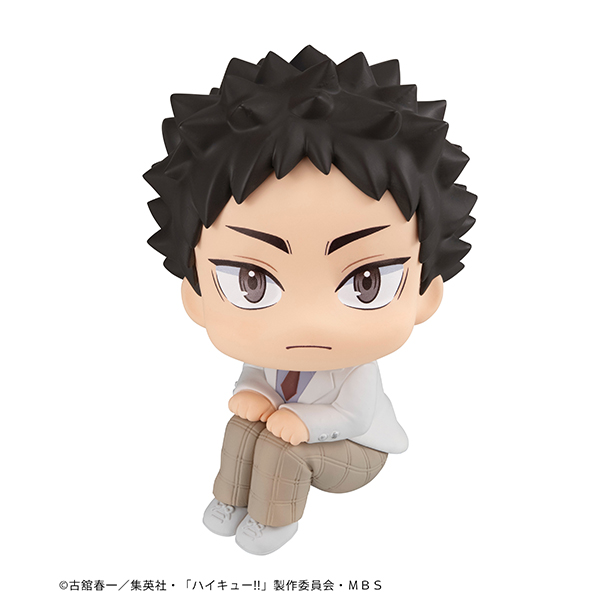 Lookup Haikyu！！ Hajime Iwaizumi