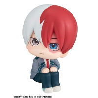 Lookup My Hero Academia Shoto Todoroki 7