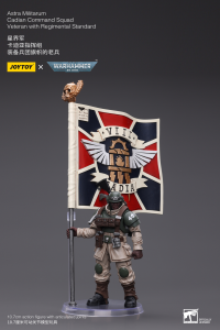 Astra Militarum Cadian Command Squad Veteran with Regimental Standard 2
