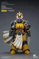 Imperial Fists Librarian Consul with Force Axe and Bolt Pistol 12