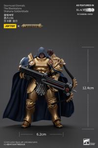 Stormcast Eternals The Blacktalons Shakana Goldenblade 5