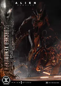 Prime 1 Studio Museum Masterline XL Alien: Romulus Scorched Xenomorph Deluxe Version - Alien (Movie Franchise) - photo 79