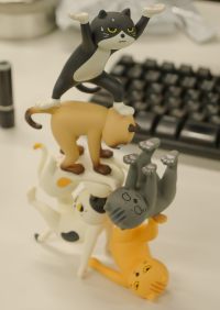 Ennoshitano Neko 7