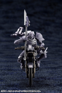 GOVERNOR PARA-PAWN JUDGE HEAD 7