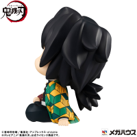 Lookup Demon Slayer：Kimetsu no Yaiba Giyu Tomioka Stupefied face ver. 4
