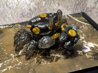 AQUACULTURE TANK 007: Fiddler Crab (Gold Black) 10