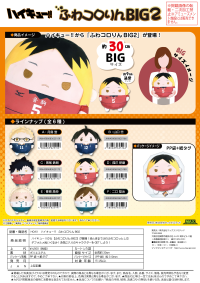 Haikyu!! FUWA KORORIN BIG 2 C 2