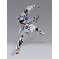 METAL BUILD STRIKE GUNDAM -METAL BUILD 10th Ver. (P-Bandai Exclusive) 7