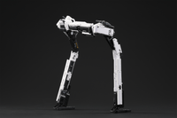 IB-02 The wandering Earth 2-FRAMER
