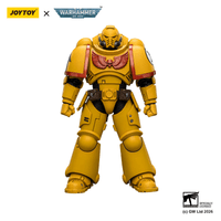 Imperial Fists Intercessor with Bolt Rifle, Bolt Pistol and Chainsword 7