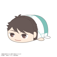 Haikyu!! POTE KORO MASCOT Msize (ITEM D) 1