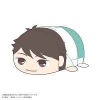 MAX LIMITED Haikyu!! POTE KORO MASCOT Msize (ITEM D) - Haikyu!! - photo 1