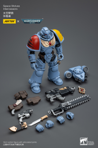 Space Wolves Intercessors 3