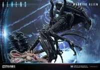Prime 1 Studio Premium Masterline Aliens (Comics) Warrior Alien DX Bonus Version - Alien (Movie Franchise) - photo 12