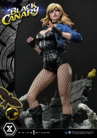 Prime 1 Studio Museum Masterline DC Comics Black Canary - DC Comics - photo 43