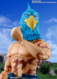 Sunraku "Shangri-La Frontier", TAMASHII NATIONS S.H.Figuarts 9