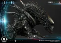Prime 1 Studio Premium Masterline Aliens (Comics) Tusked Alien Bonus Version - Alien (Movie Franchise) - photo 41